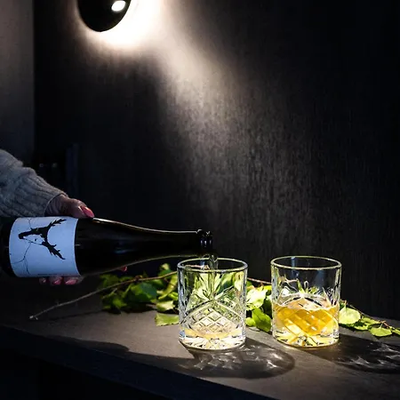 Hotelli Sodankylae 4*