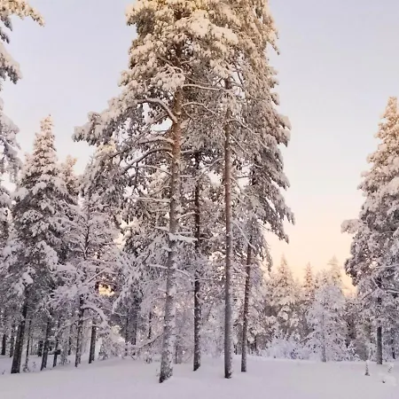 Hotelli Sodankylae 4* Sodankylä