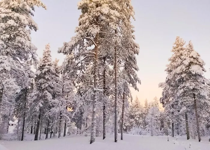 索丹屈莱酒店 4* Sodankylä