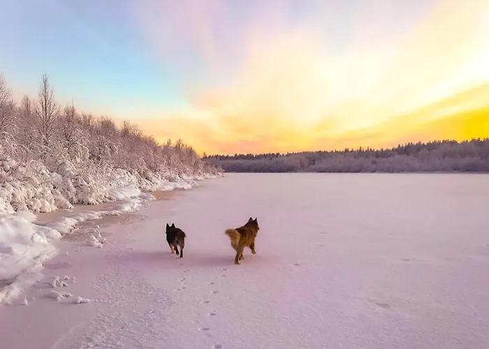 索丹屈莱酒店 酒店